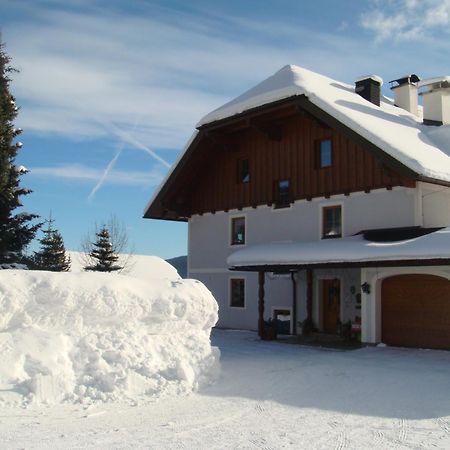 Ferienwohnungen Haus-Holzer Mauterndorf  Zewnętrze zdjęcie