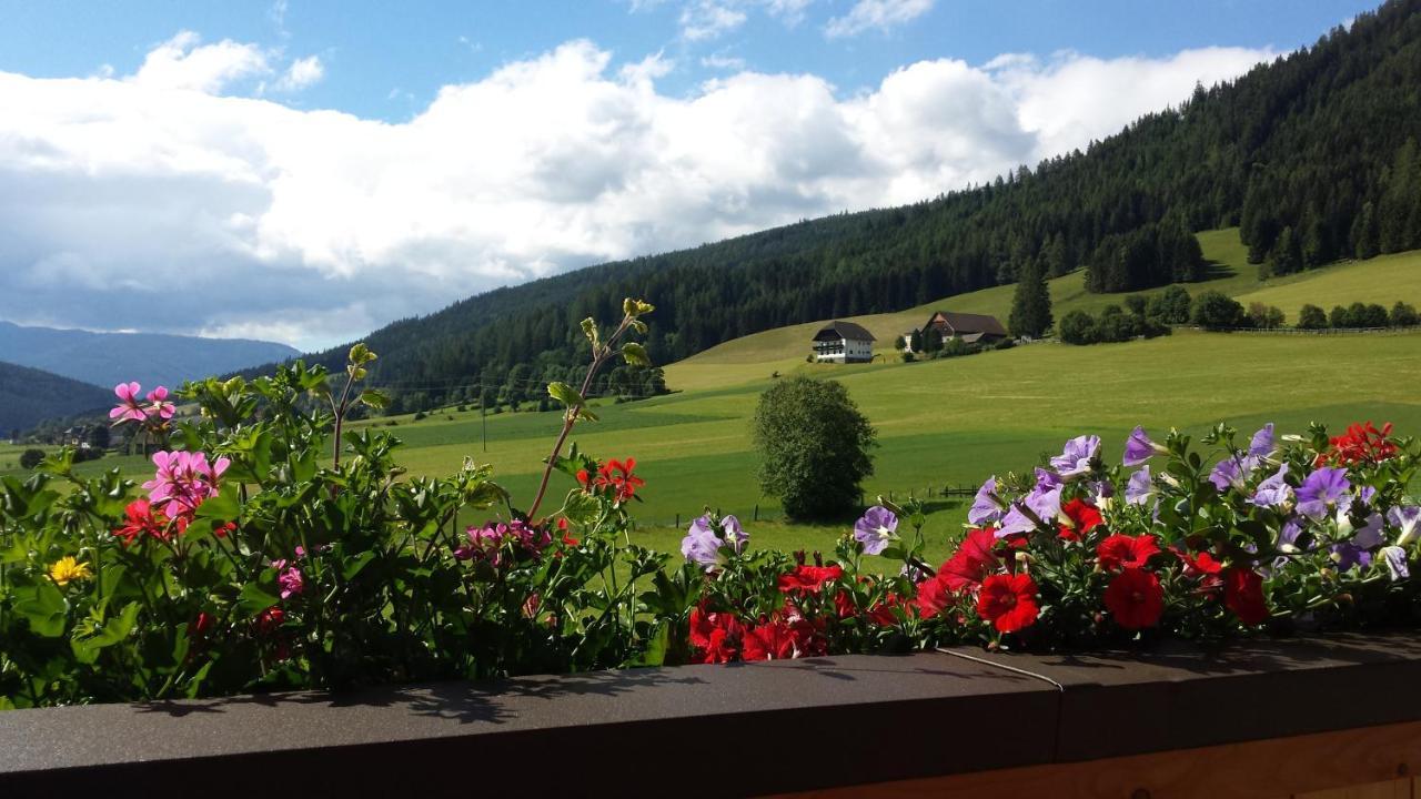Ferienwohnungen Haus-Holzer Mauterndorf  Zewnętrze zdjęcie
