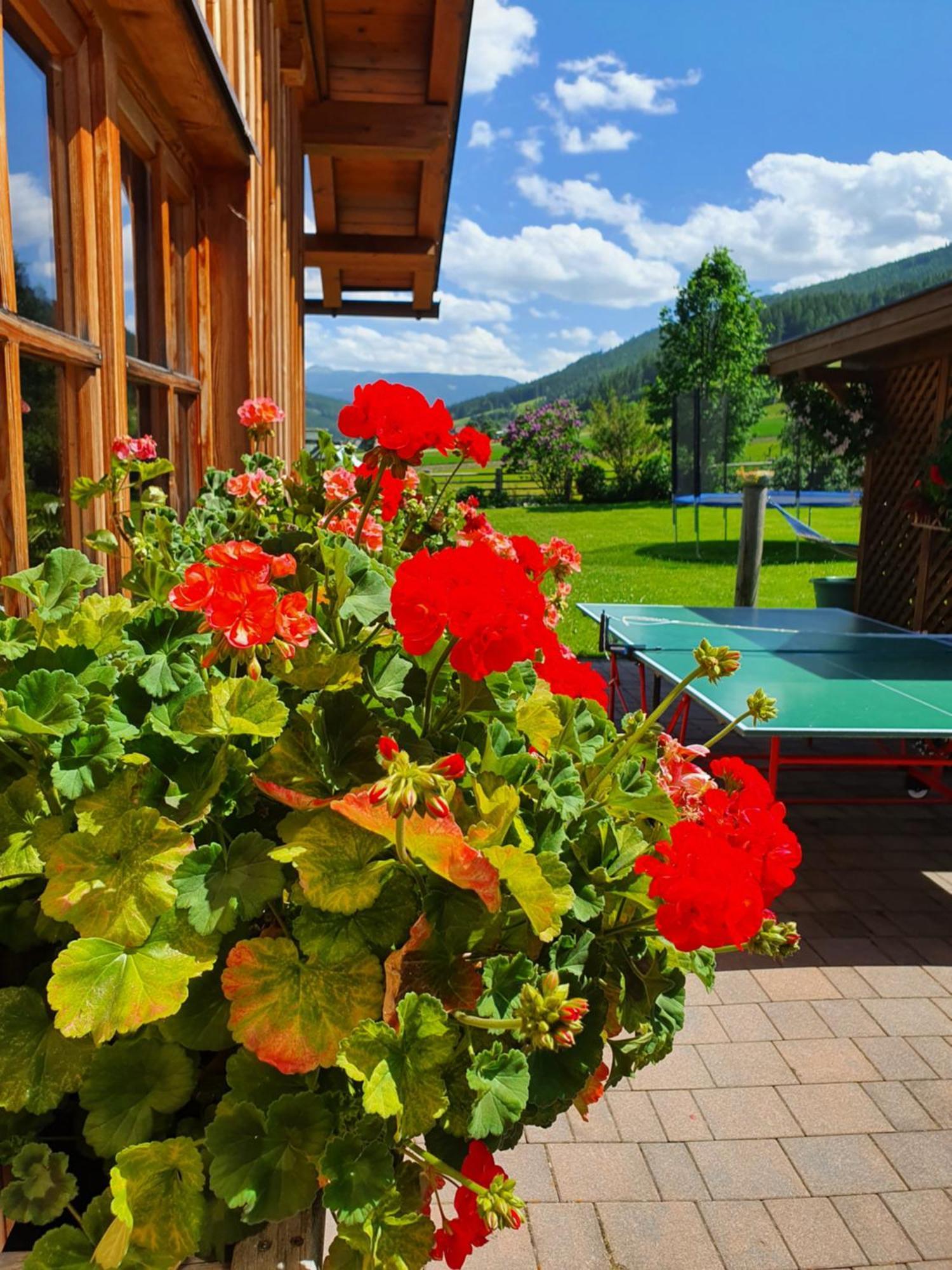 Ferienwohnungen Haus-Holzer Mauterndorf  Zewnętrze zdjęcie
