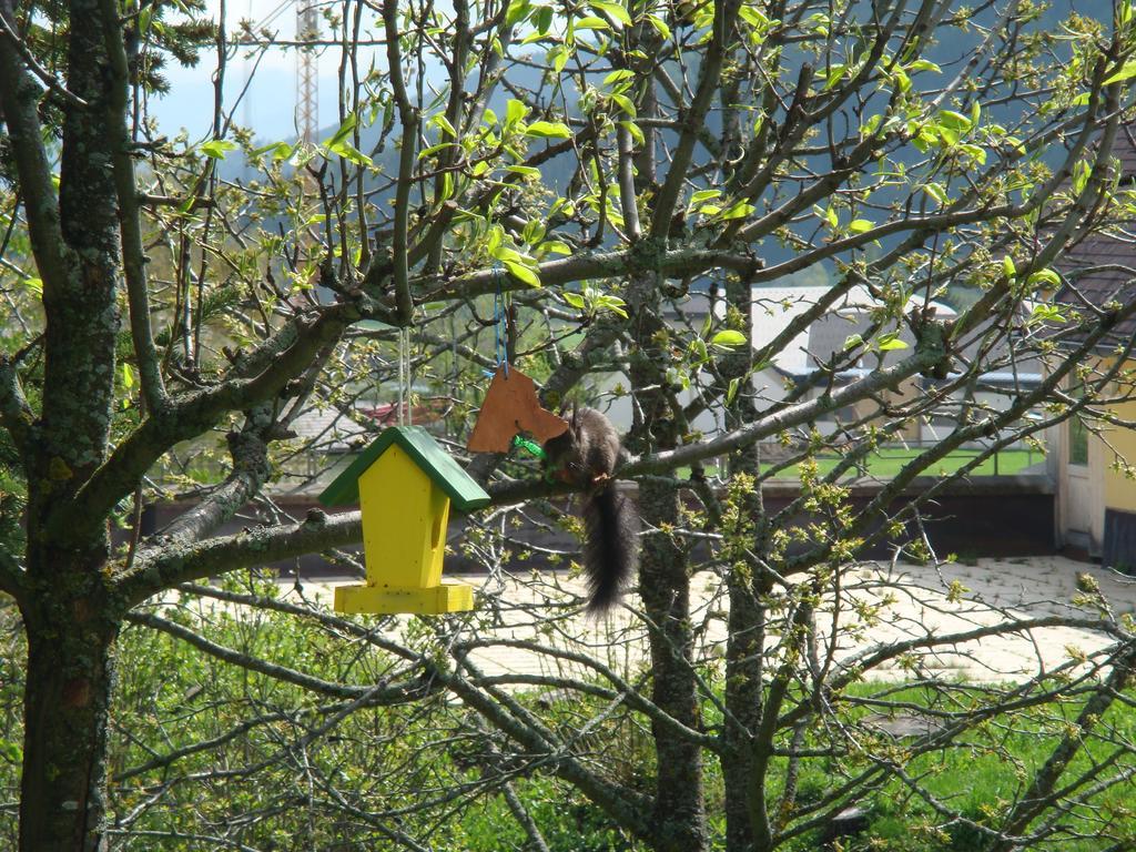 Ferienwohnungen Haus-Holzer Mauterndorf  Zewnętrze zdjęcie