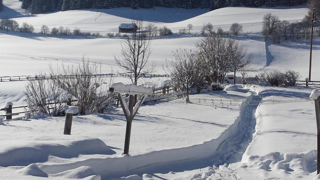 Ferienwohnungen Haus-Holzer Mauterndorf  Zewnętrze zdjęcie