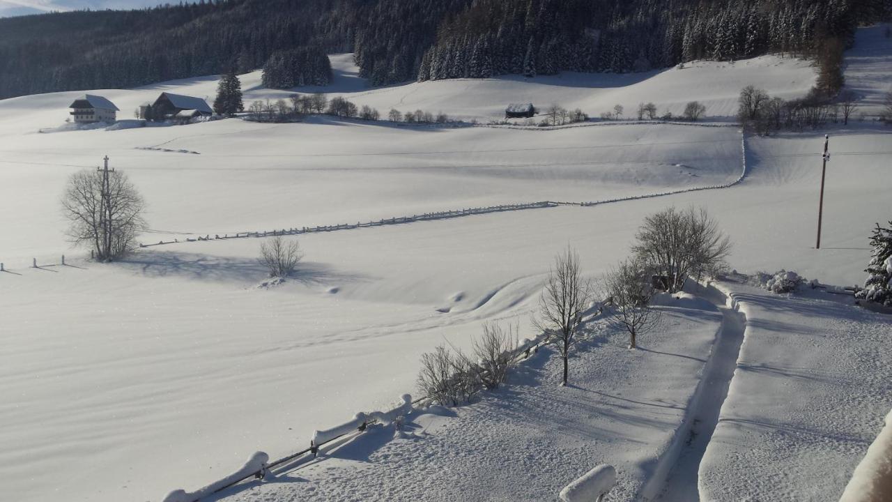 Ferienwohnungen Haus-Holzer Mauterndorf  Zewnętrze zdjęcie